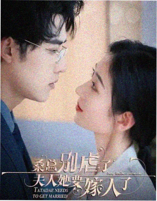 番茄影视大全·高分剧集